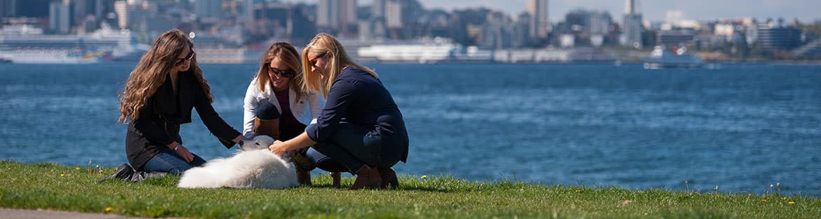 Three women petting a dog in the park