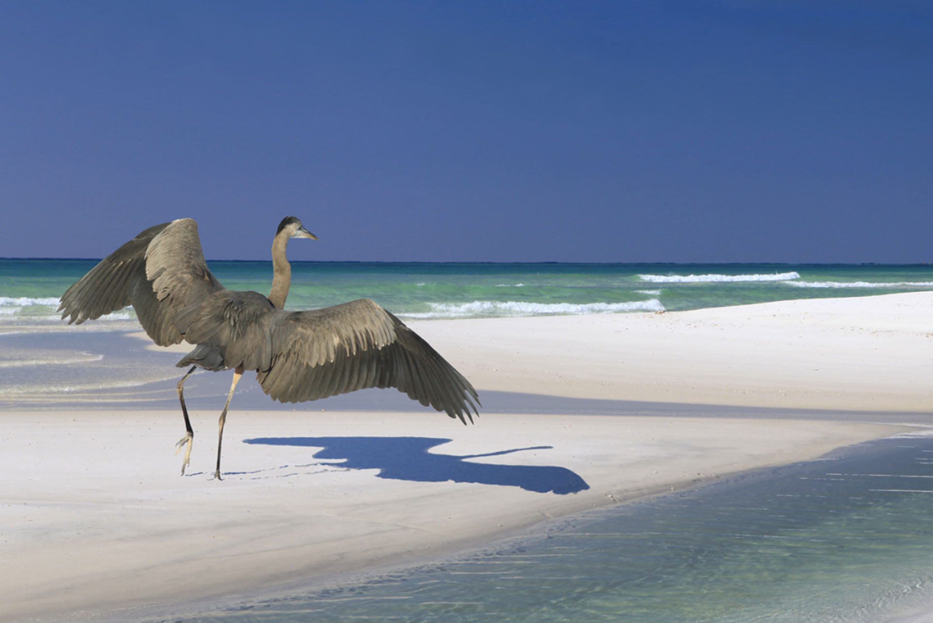 Speech Language Pathology travel jobs in Alabama