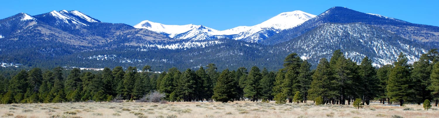 Respiratory Therapy travel jobs in Flagstaff ,Arizona