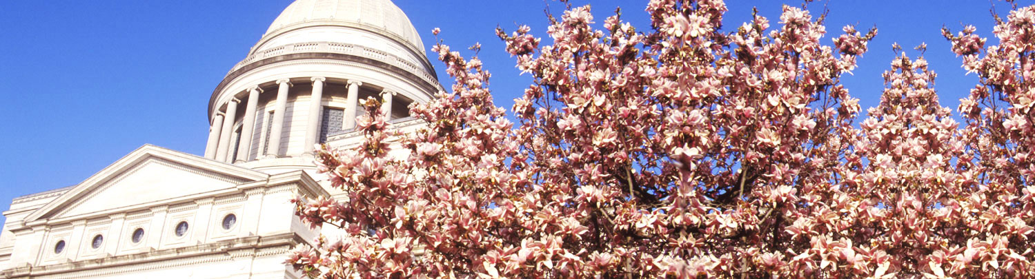 Speech Language Pathology travel jobs in Arkansas