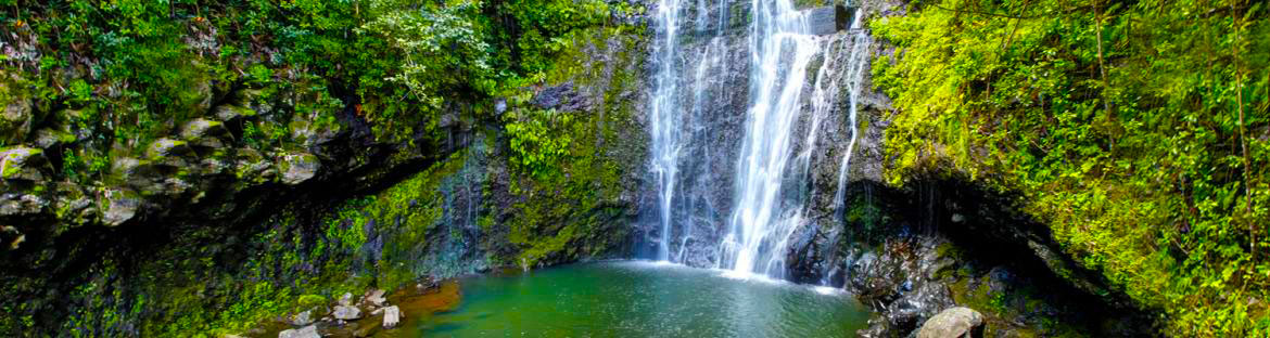 Speech Language Pathology travel jobs in Maui ,Hawaii