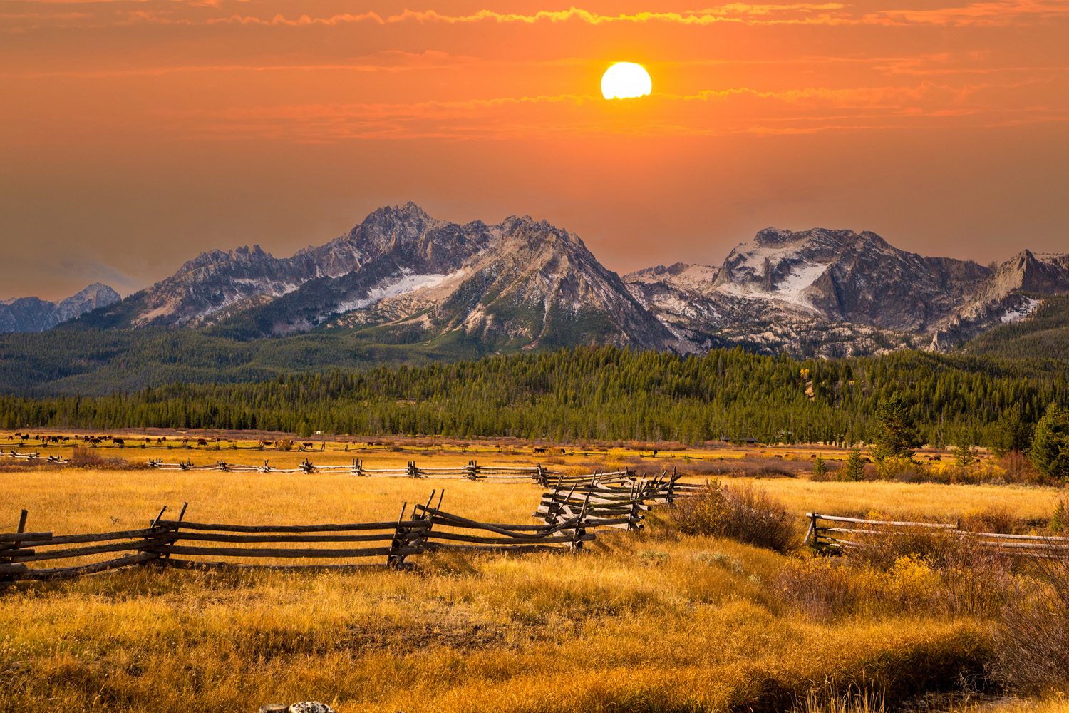 LPN travel jobs in Idaho