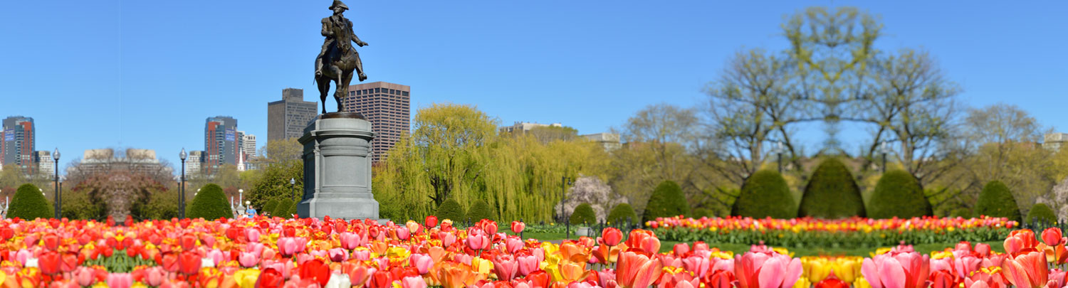 Speech Language Pathology travel jobs in Boston ,Massachusetts