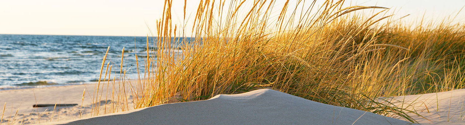 COTA travel jobs in Michigan
