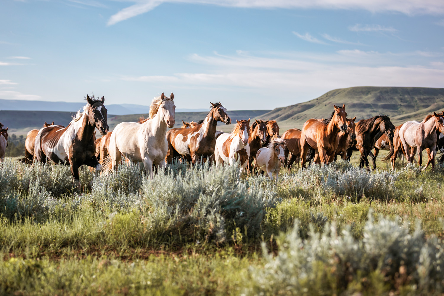 Physical Therapy travel jobs in Montana