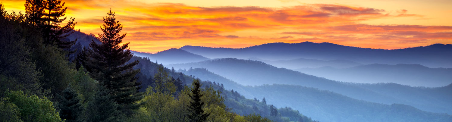 Physical Therapy travel jobs in Tennessee