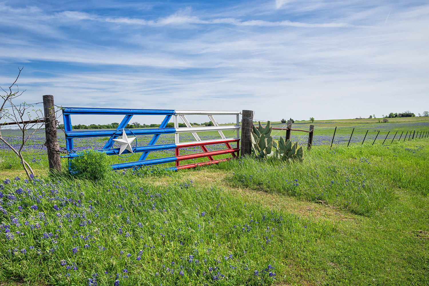 Radiology / Cardiology travel jobs in Texas