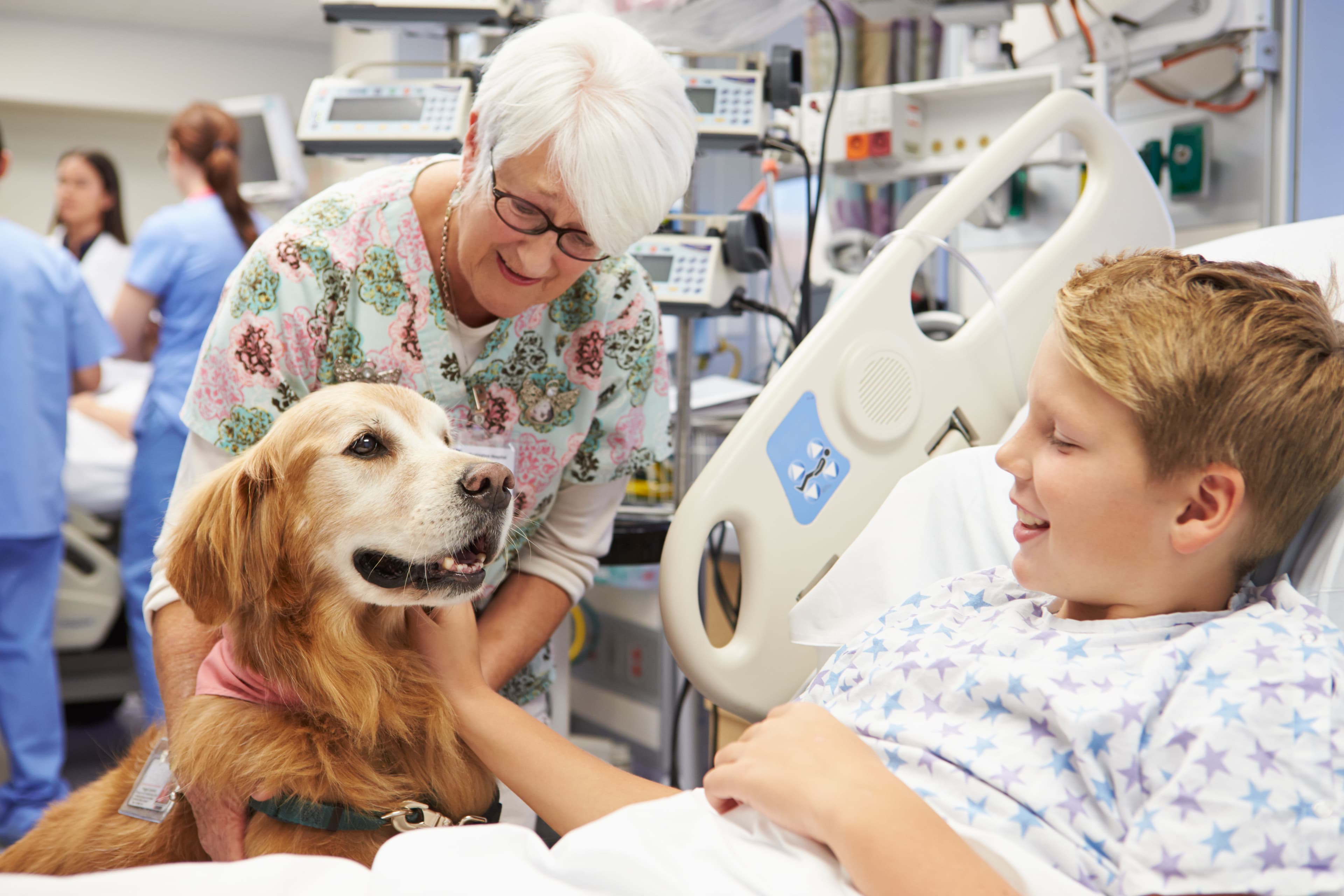 Pediatric patient with service dog and nurse