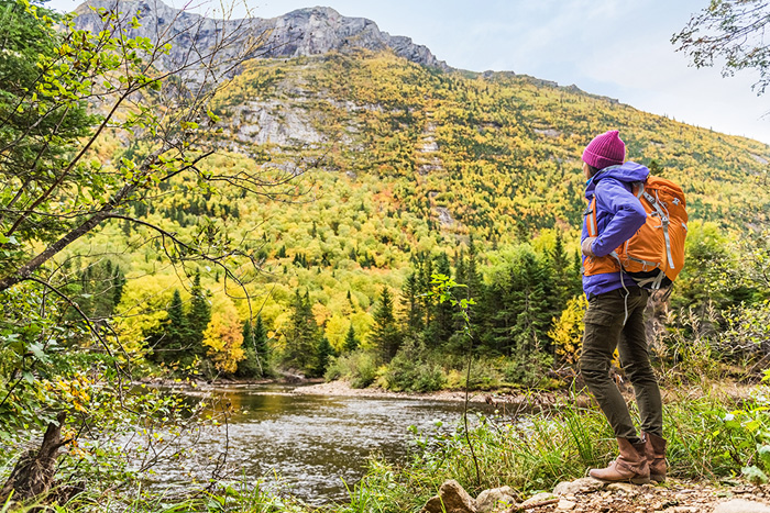 Travel nursing in the fall