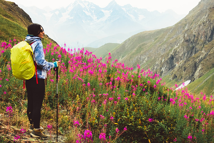 Best travel nursing locations for Spring - hillside of flowers