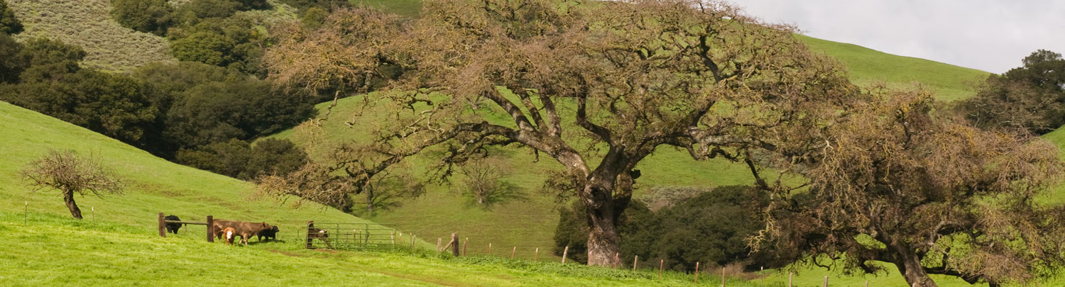 Teaching / Instruction travel jobs in San Jose ,California