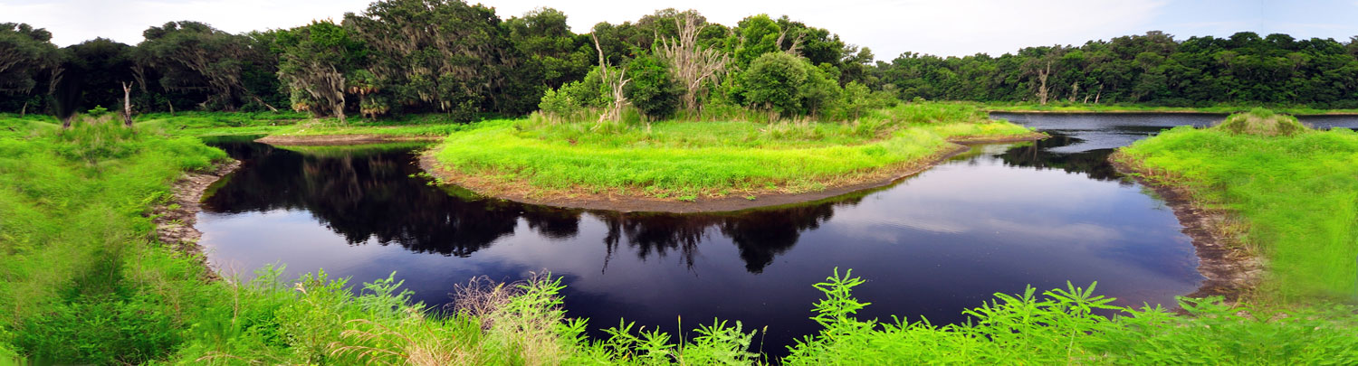 Teaching / Instruction travel jobs in Gainesville ,Florida