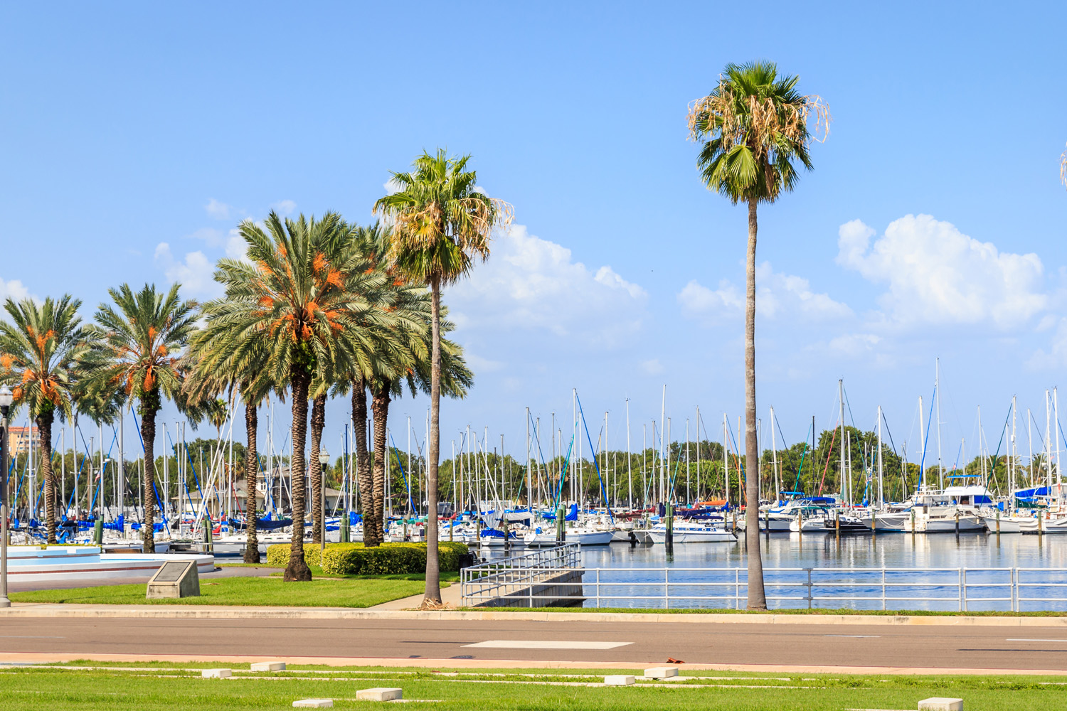 Teaching / Instruction travel jobs in St. Petersburg ,Florida
