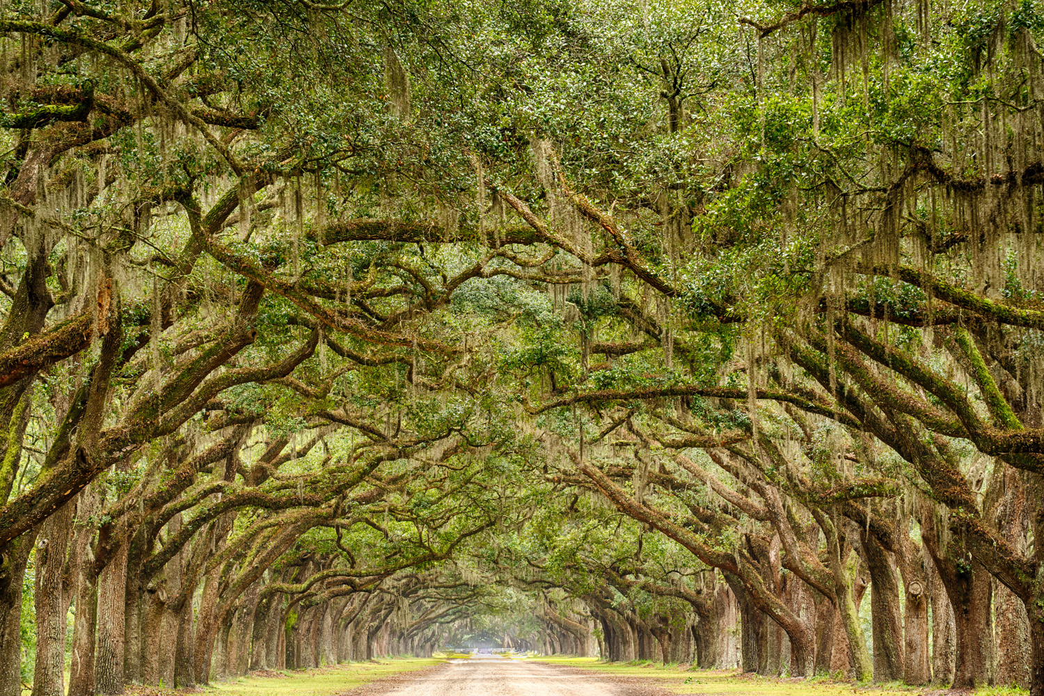 Teaching / Instruction travel jobs in Georgia