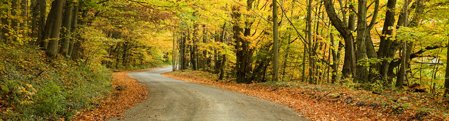 Teaching / Instruction travel jobs in Syracuse ,New York