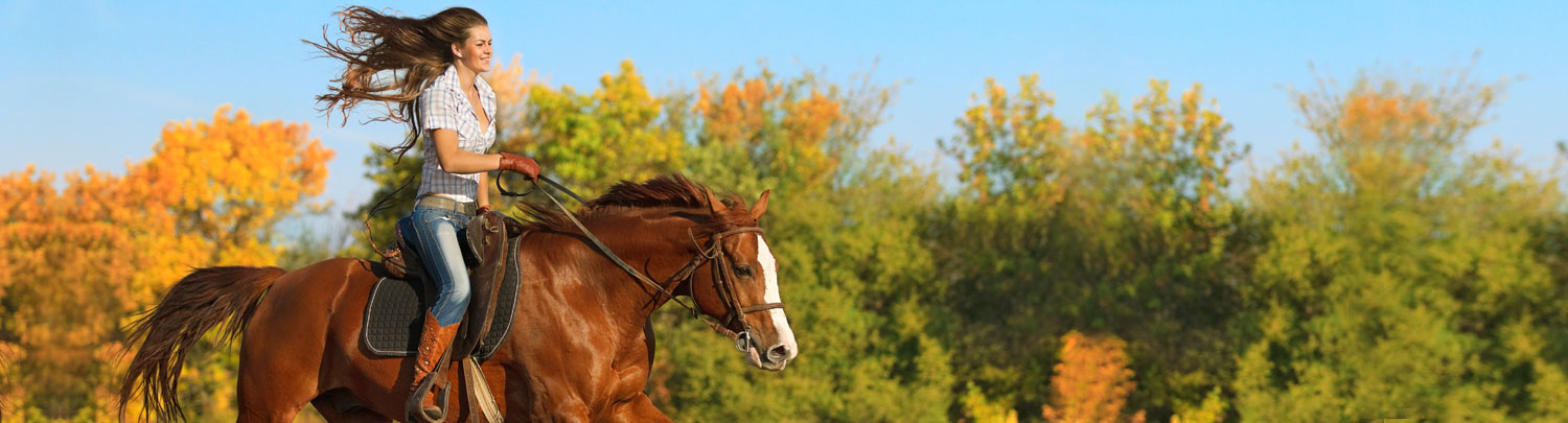 Teaching / Instruction travel jobs in Dallas ,Texas