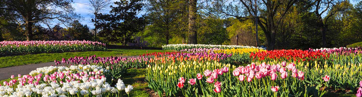 Teaching / Instruction travel jobs in Virginia