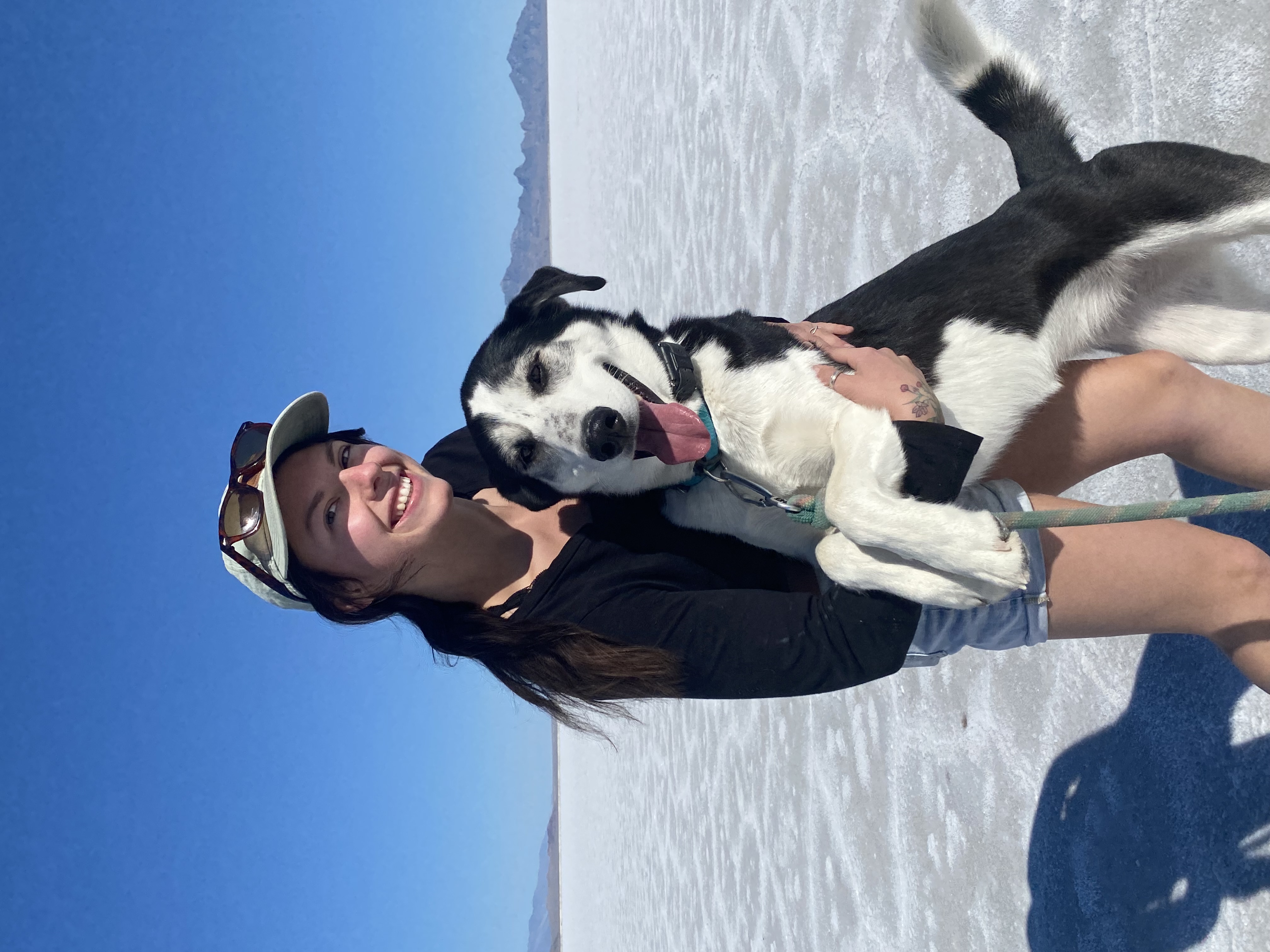 Traveler with their dog